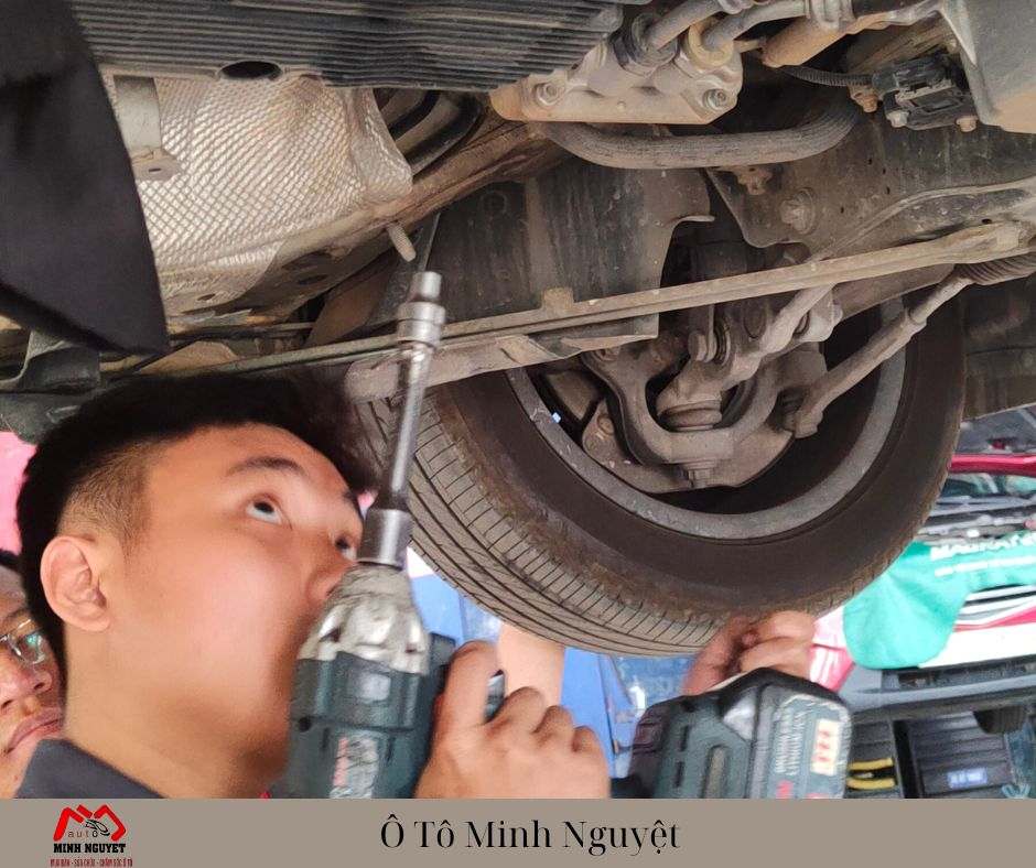 Tầm Quan Trọng Của Đáy Cate Ô Tô